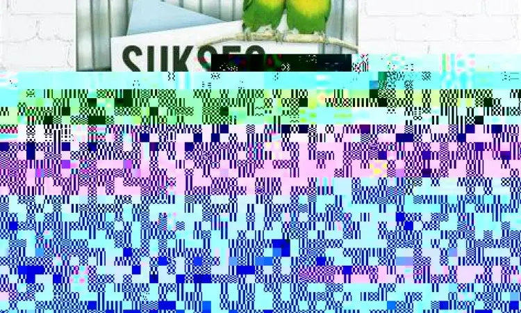 Kemasan basreng yang menarik perhatian konsumen